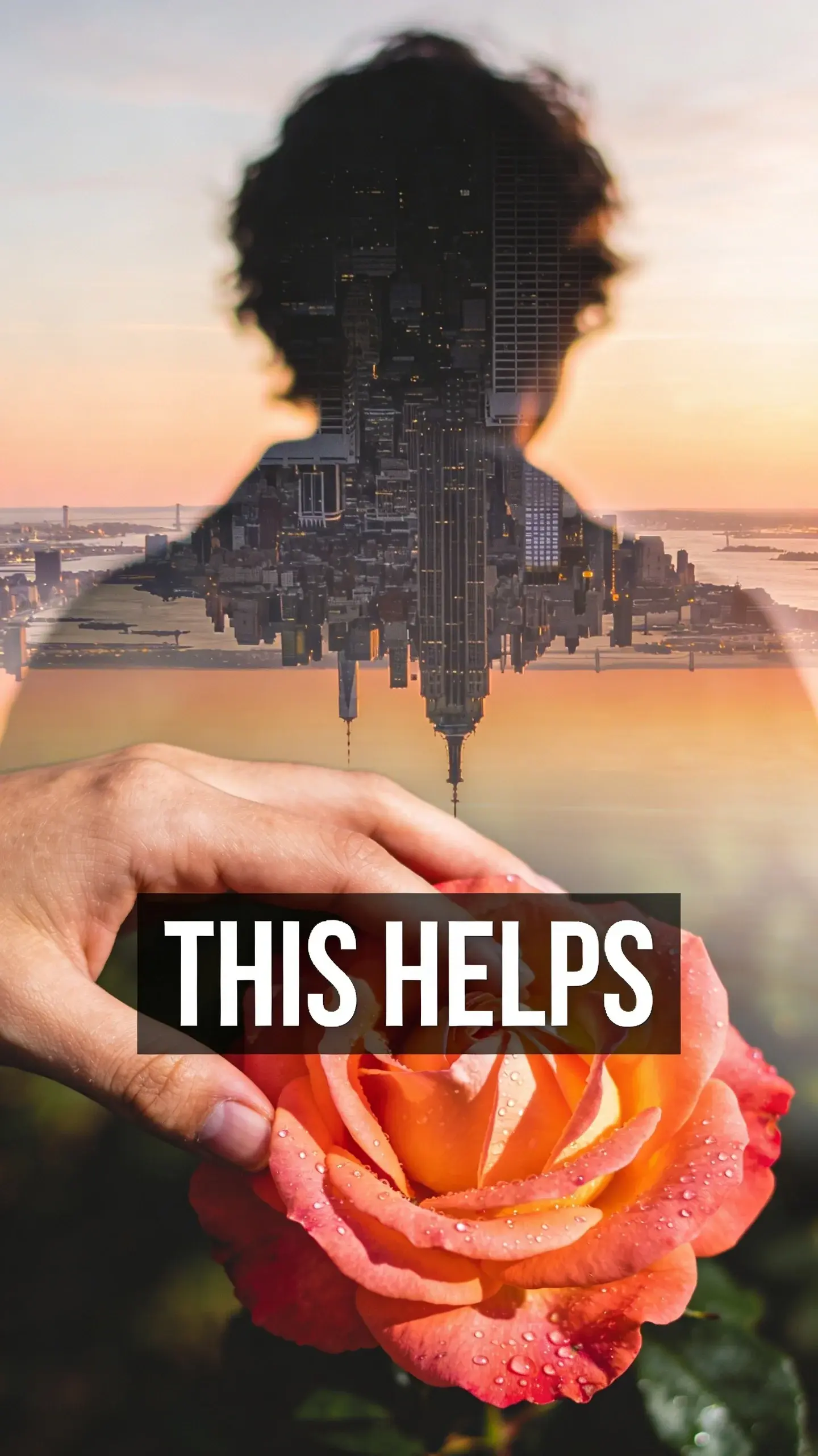 **DOUBLE EXPOSURE**: DOUBLE EXPOSURE, **BASE**: vertical 9:16, ultra-tall composition, **SCENE**: A striking double exposure image combining two distinct layers: the first, a blurred silhouette of a person looking at a sprawling, distant city skyline at dusk, symbolizing grand aspirations; the second, a sharp, close-up overlay of a hand gently caressing the soft petals of a vibrant, dew-kissed rose, representing the beauty of immediate, small joys. Golden hour light bathes both layers., **TEXT POSITION**: CENTER, **OVERLAY**: text says exactly: "THIS HELPS", bold readable font, high contrast white on dark, **LIGHT**: Golden hour light, **MOOD**: Contemplative, hopeful, evolving, serene, photorealistic, 8K, shallow depth of field, warm pastel tones, film aesthetic, no logos, no watermarks